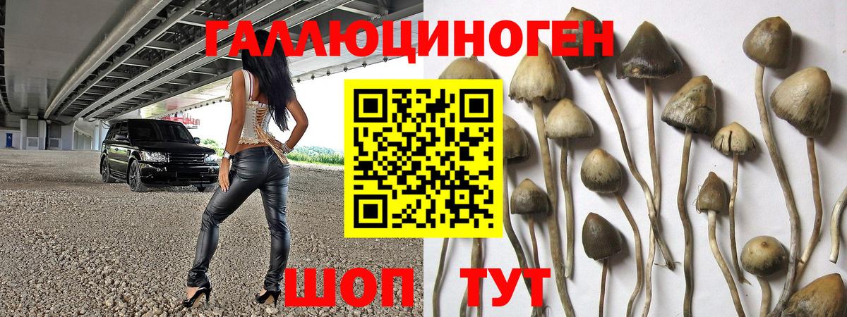 Галлюциногенные грибы прущие грибы Сызрань